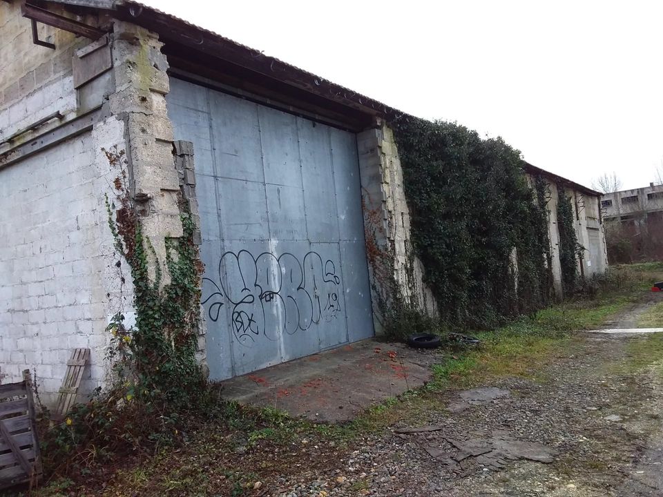Erhvervsejendom i Les Églisottes-et-Chalaures, Gironde - foto 2