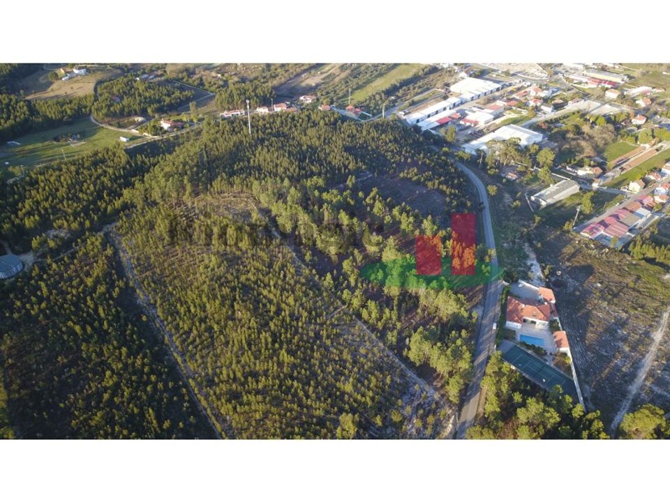 Helårsgrund i Rio Maior, Santarem - foto 5