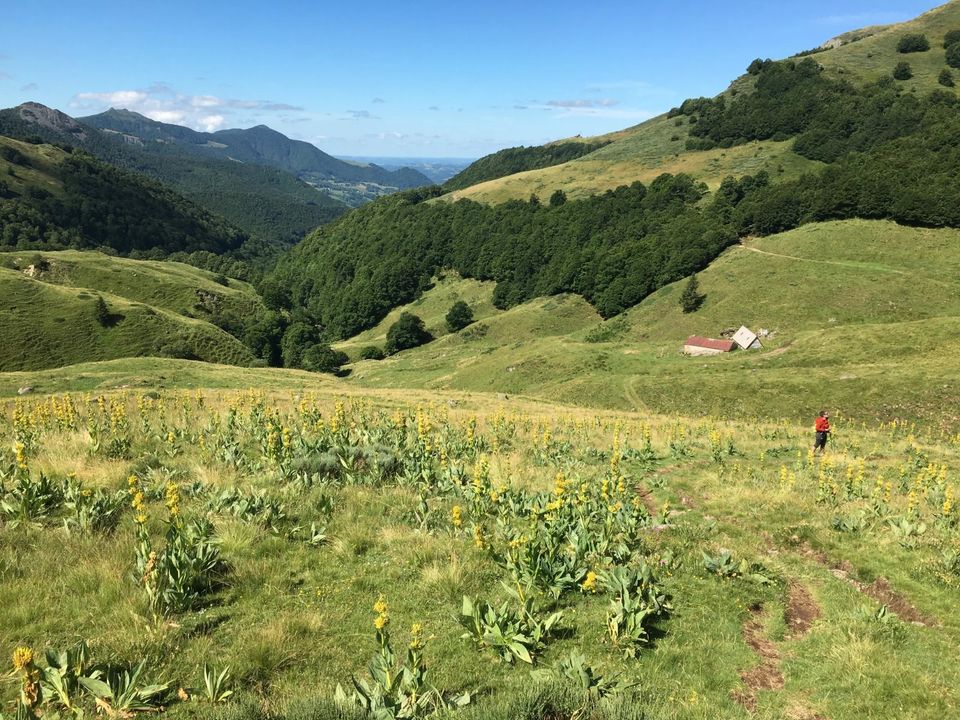 Landejendom i Aurillac, Cantal - foto 5