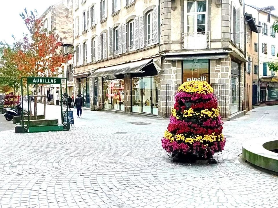 Erhvervsejendom i Aurillac, Cantal - foto 1