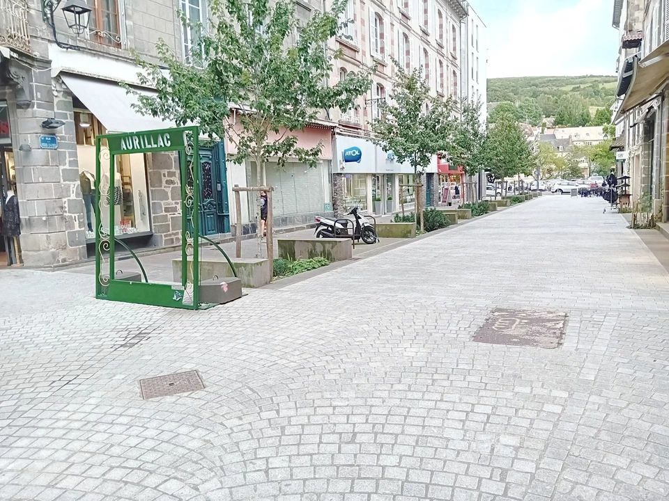 Erhvervsejendom i Aurillac, Cantal - foto 2
