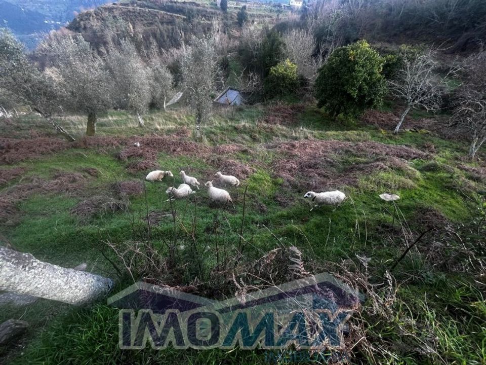 Granja a Cinfaes, Viseu - foto 2