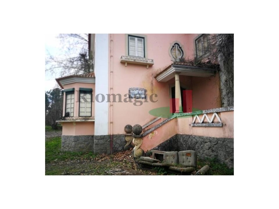 Farm i Tramagal, Santarem - foto 5