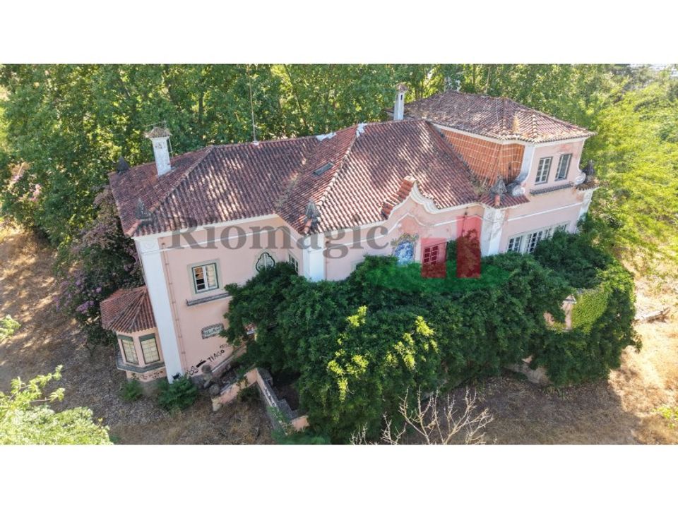 Farm i Tramagal, Santarem - foto 1