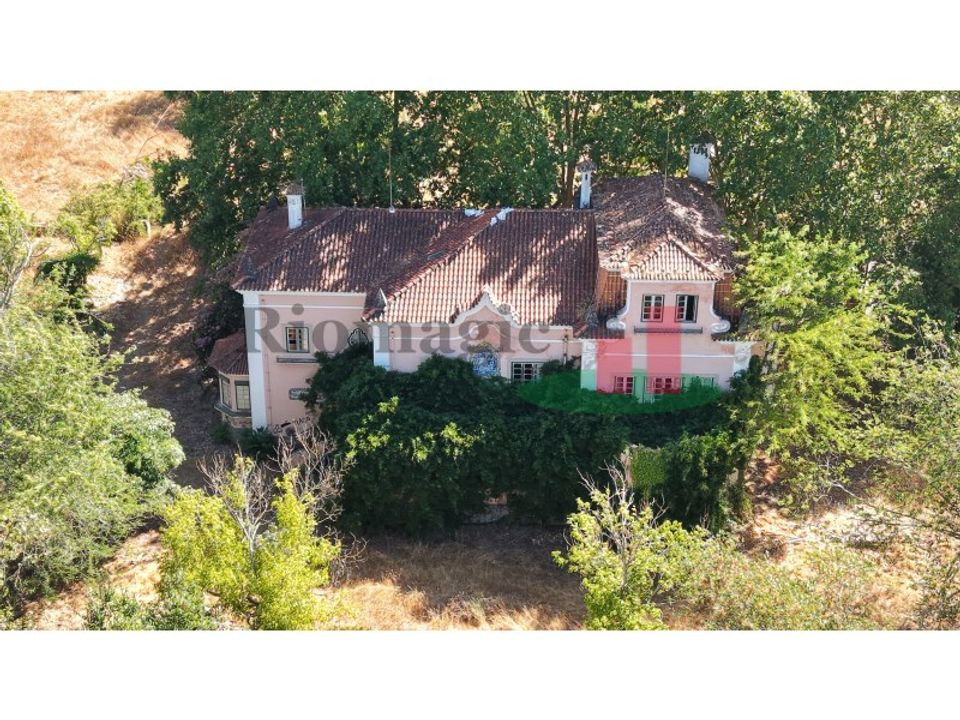 Farm i Tramagal, Santarem - foto 2