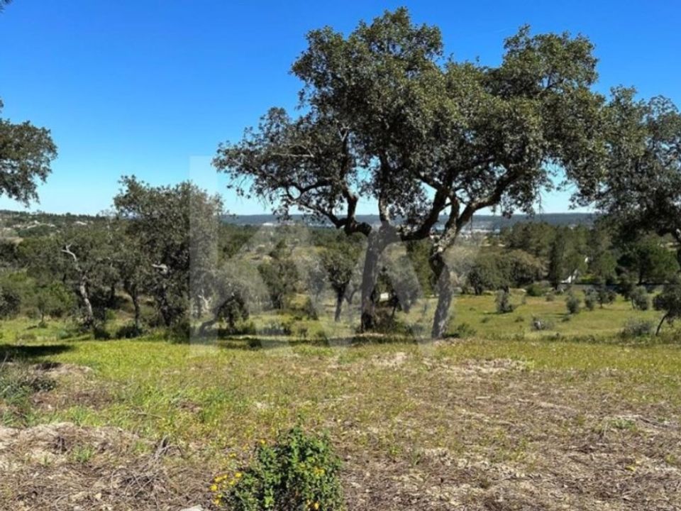 Tomt i Montargil, Portalegre - bilde 3