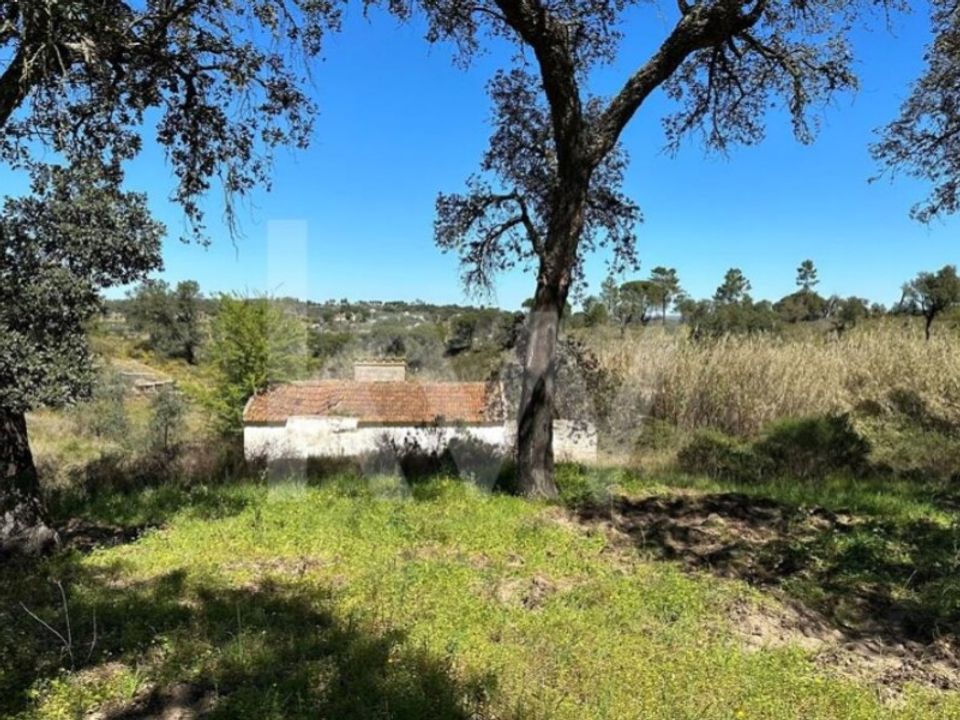Tomt i Montargil, Portalegre - bilde 5