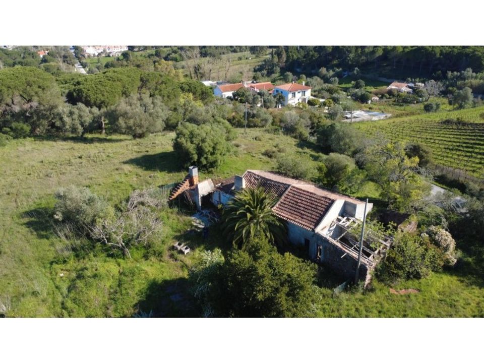 Helårsgrund i Brejos de Azeitao, Setubal - foto 3