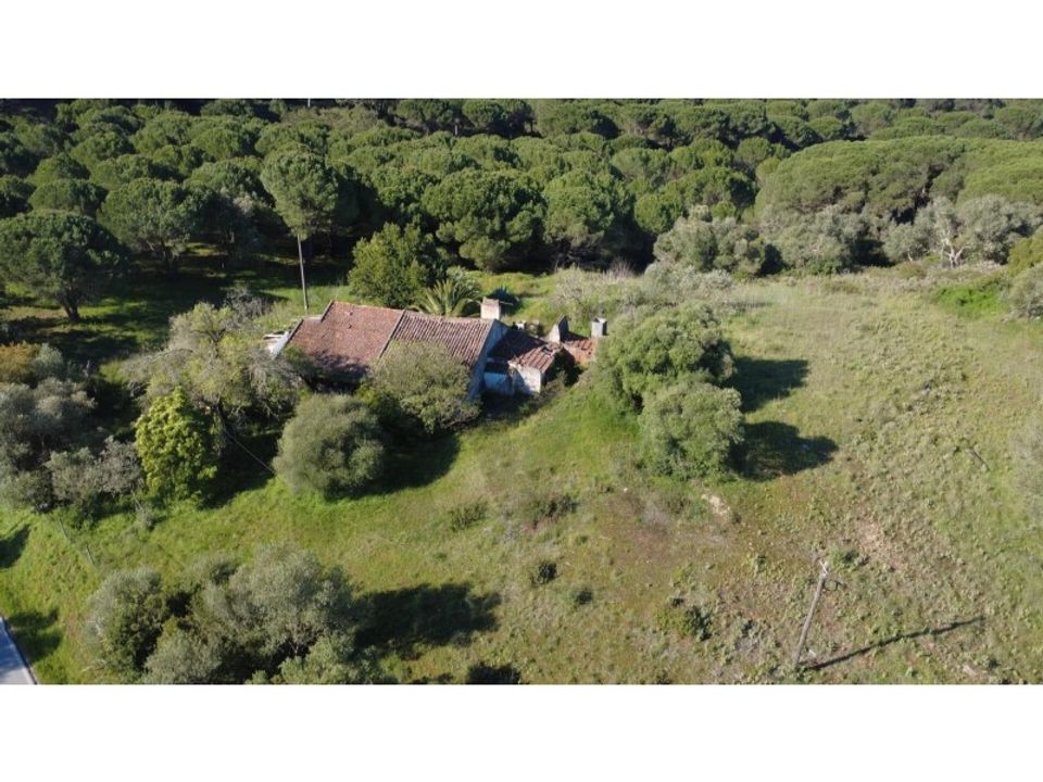 Helårsgrund i Brejos de Azeitao, Setubal - foto 4