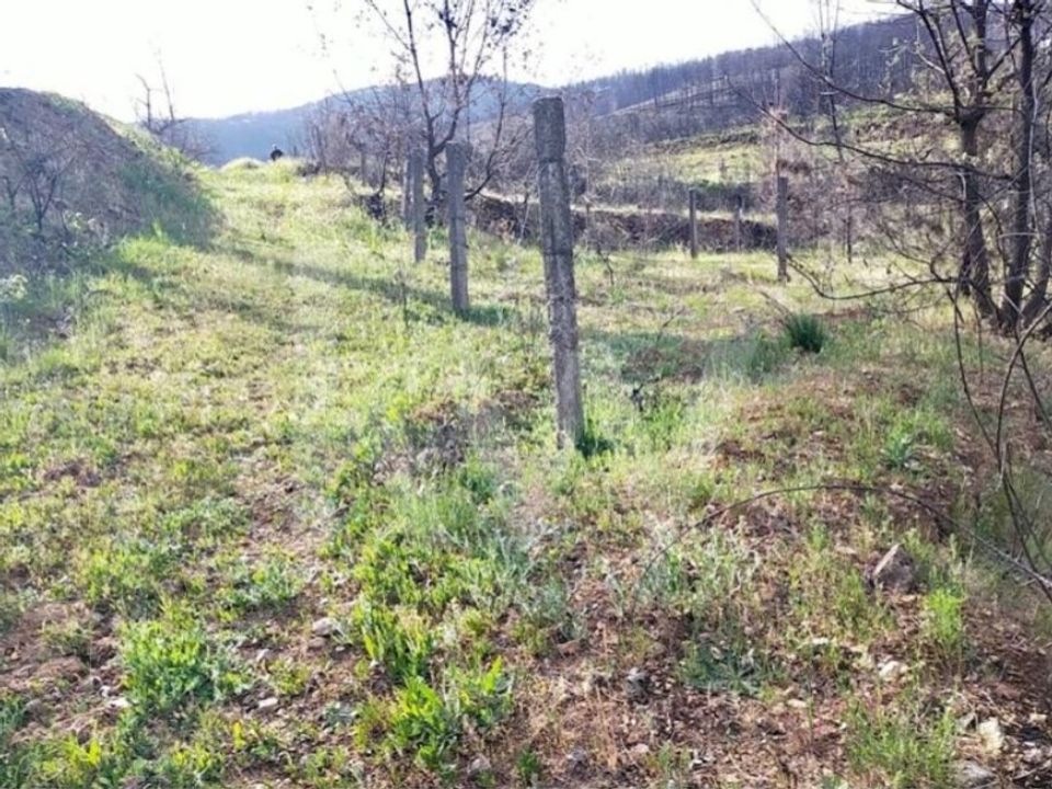Helårsgrund i Valhelhas, Guarda - foto 4