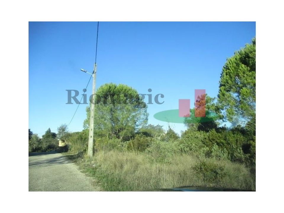 Helårsgrund i Tomar, Santarem - foto 1