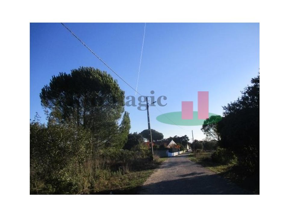 Helårsgrund i Tomar, Santarem - foto 3