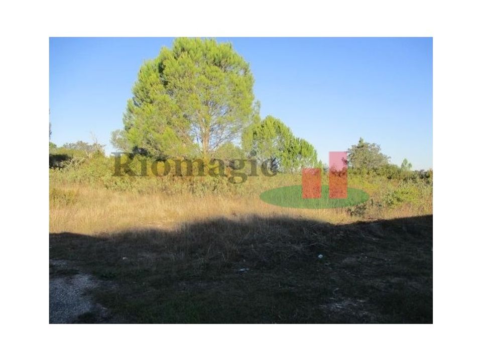 Helårsgrund i Tomar, Santarem - foto 4