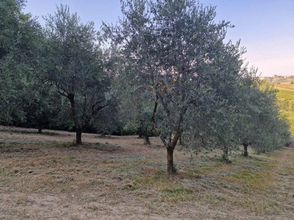 Helårsgrund i Cesena, Forli-Cesena - foto 4