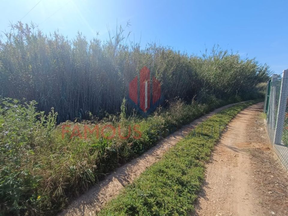 Helårsgrund i Mexilhoeira Grande, Faro - foto 4