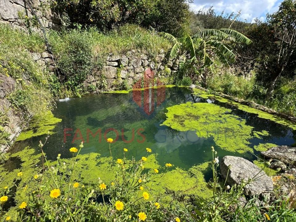 Helårsgrund i Monchique, Faro - foto 1