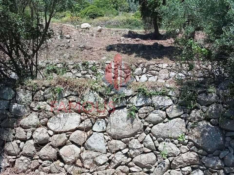 Helårsgrund i Monchique, Faro - foto 4