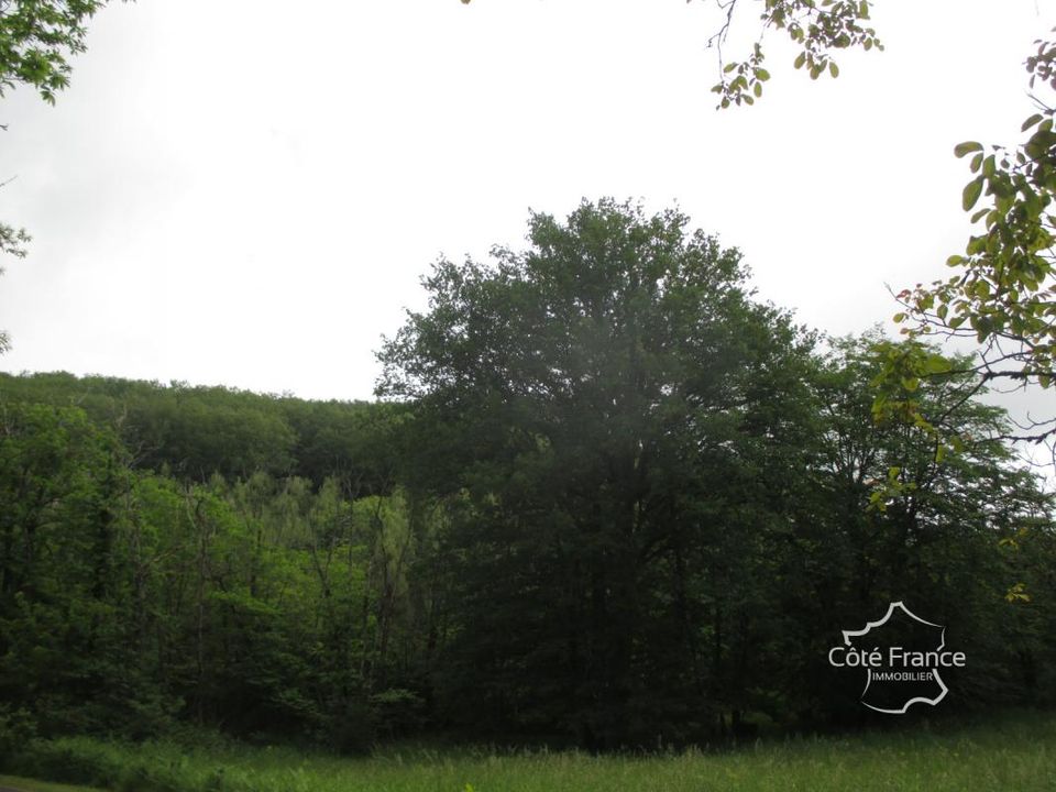 Helårsgrund i Sainte-Foy-de-Belvès, Dordogne - foto 1