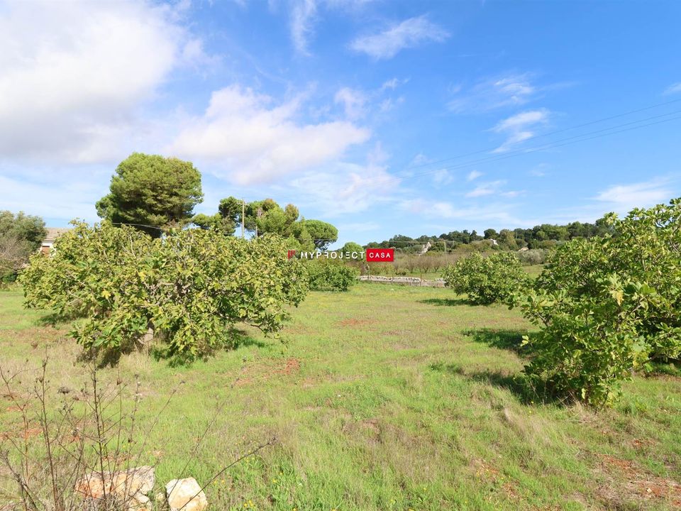 Farm hus i Ostuni, Brindisi - foto 4