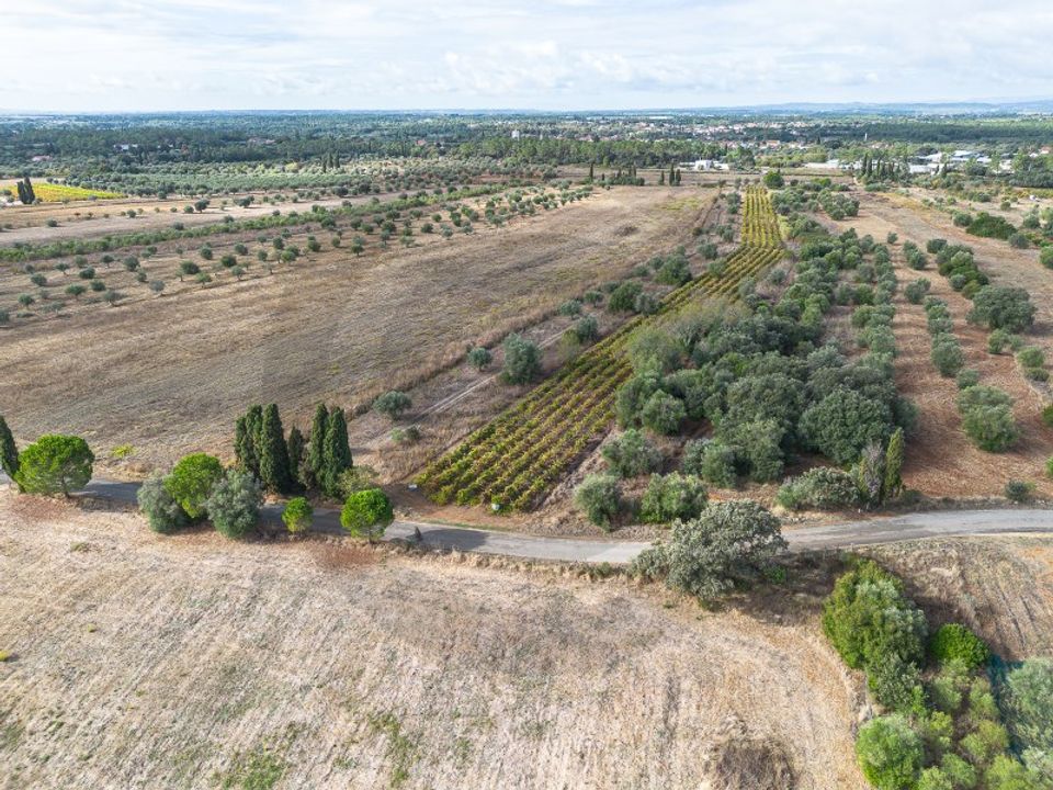 Helårsgrund i Torres Novas, Santarem - foto 2