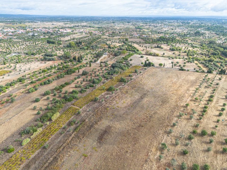 Helårsgrund i Torres Novas, Santarem - foto 3
