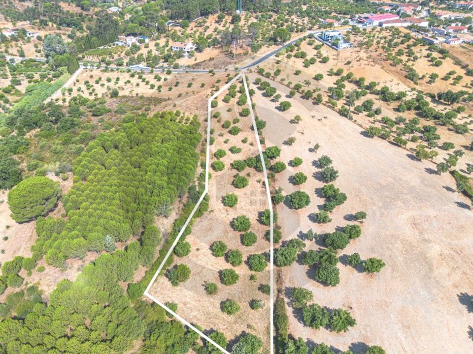 Helårsgrund i Torres Novas, Santarem - foto 1