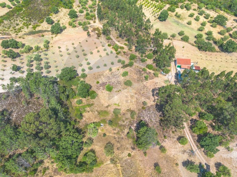 Helårsgrund i Torres Novas, Santarem - foto 1
