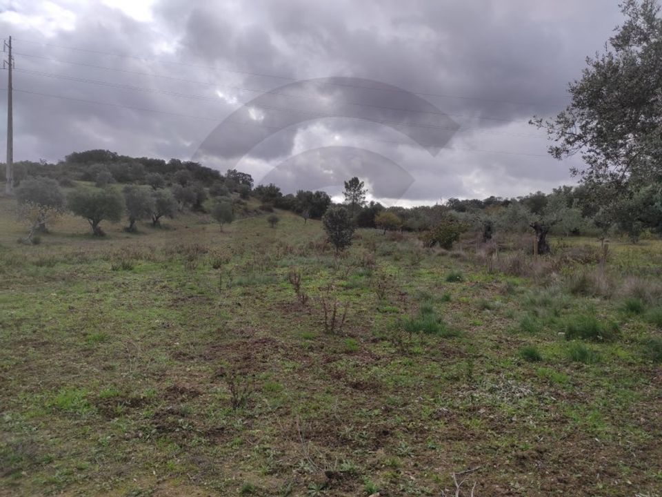 Helårsgrund i Torres Novas, Santarem - foto 2