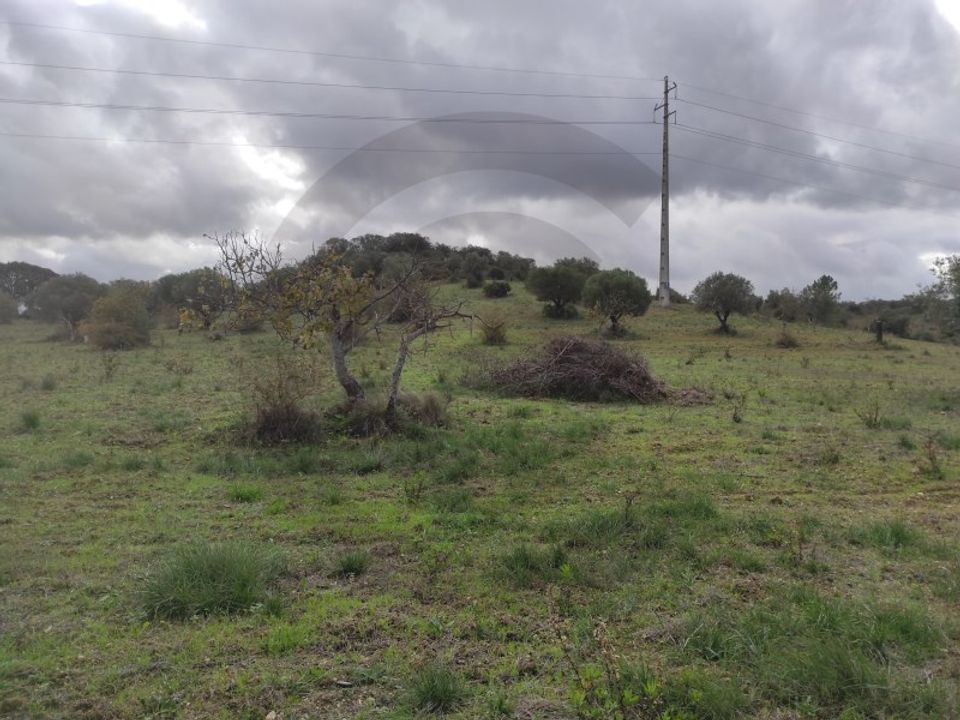 Helårsgrund i Torres Novas, Santarem - foto 3