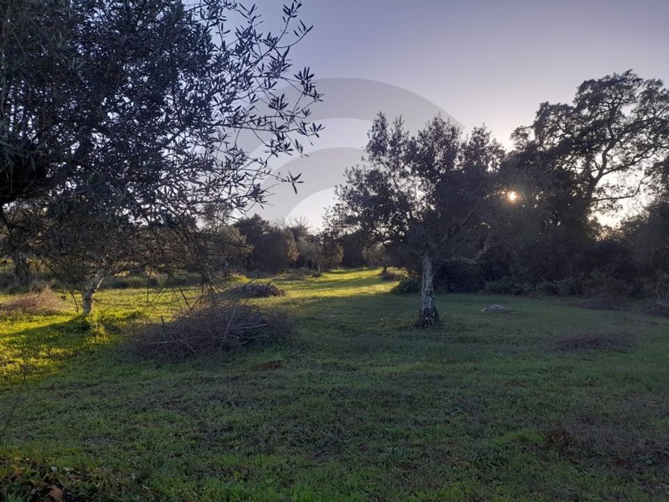 Helårsgrund i Alcanena, Santarem - foto 1