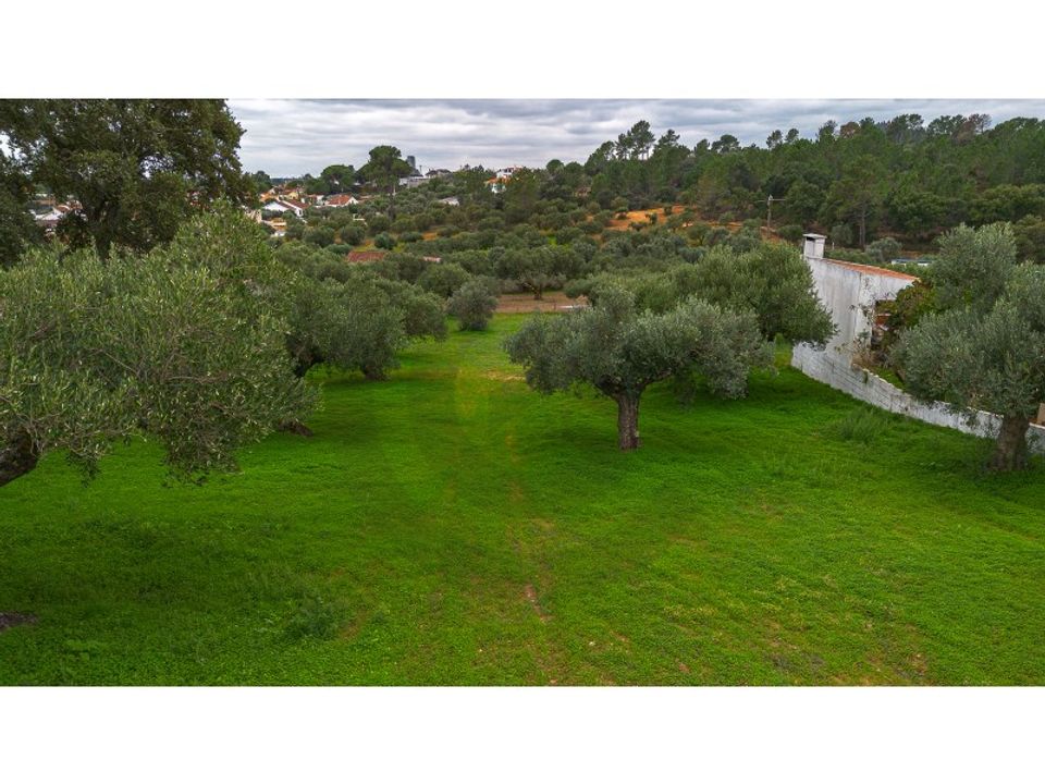Helårsgrund i Torres Novas, Santarem - foto 3