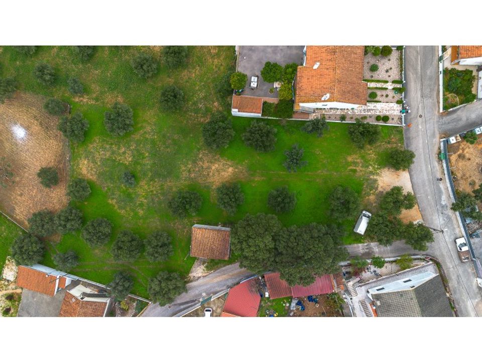 Helårsgrund i Torres Novas, Santarem - foto 4