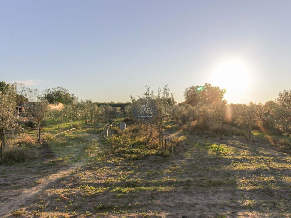 Helårsgrund i Almeirim, Santarem - foto 3