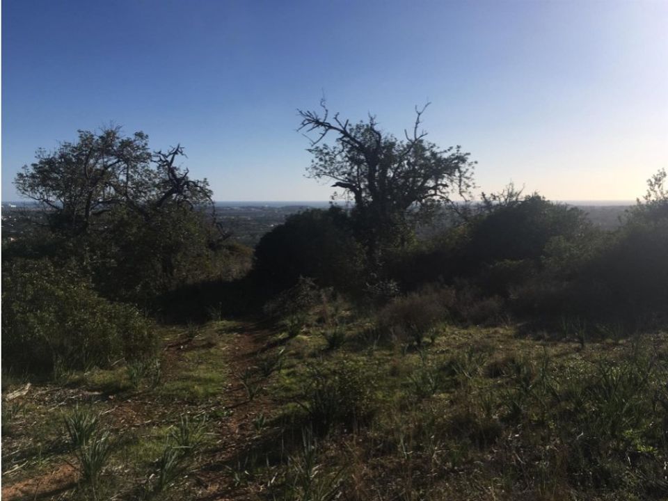 Helårsgrund i Boliqueime, Faro - foto 2