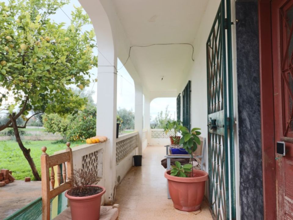 Granja a Loule, Faro - foto 3