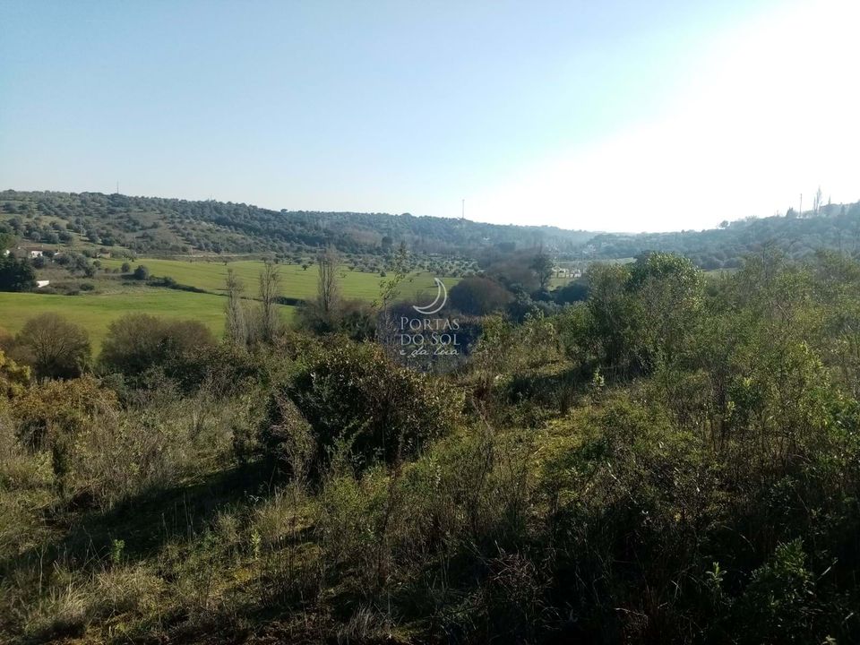 Helårsgrund i Torres Novas, Santarem - foto 1