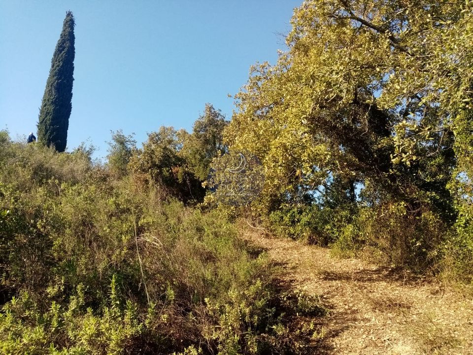 Helårsgrund i Torres Novas, Santarem - foto 2