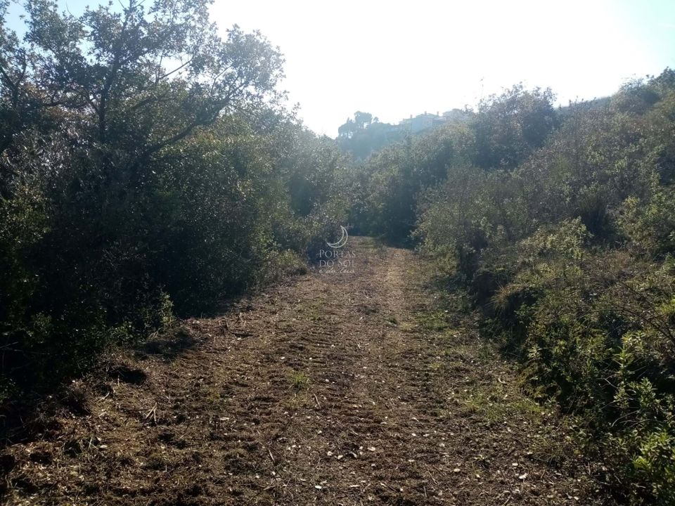 Helårsgrund i Torres Novas, Santarem - foto 3