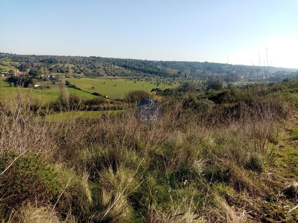 Helårsgrund i Torres Novas, Santarem - foto 4