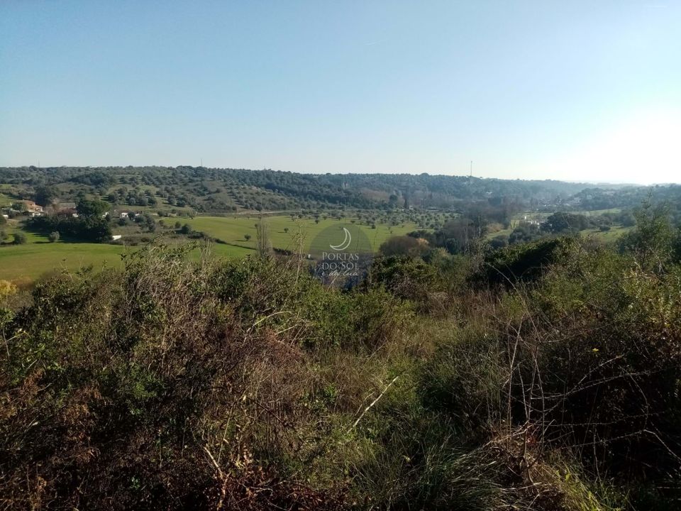Helårsgrund i Torres Novas, Santarem - foto 5