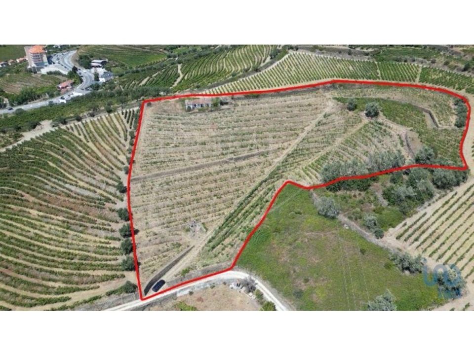 Helårsgrund i Peso da Regua, Vila Real - foto 1