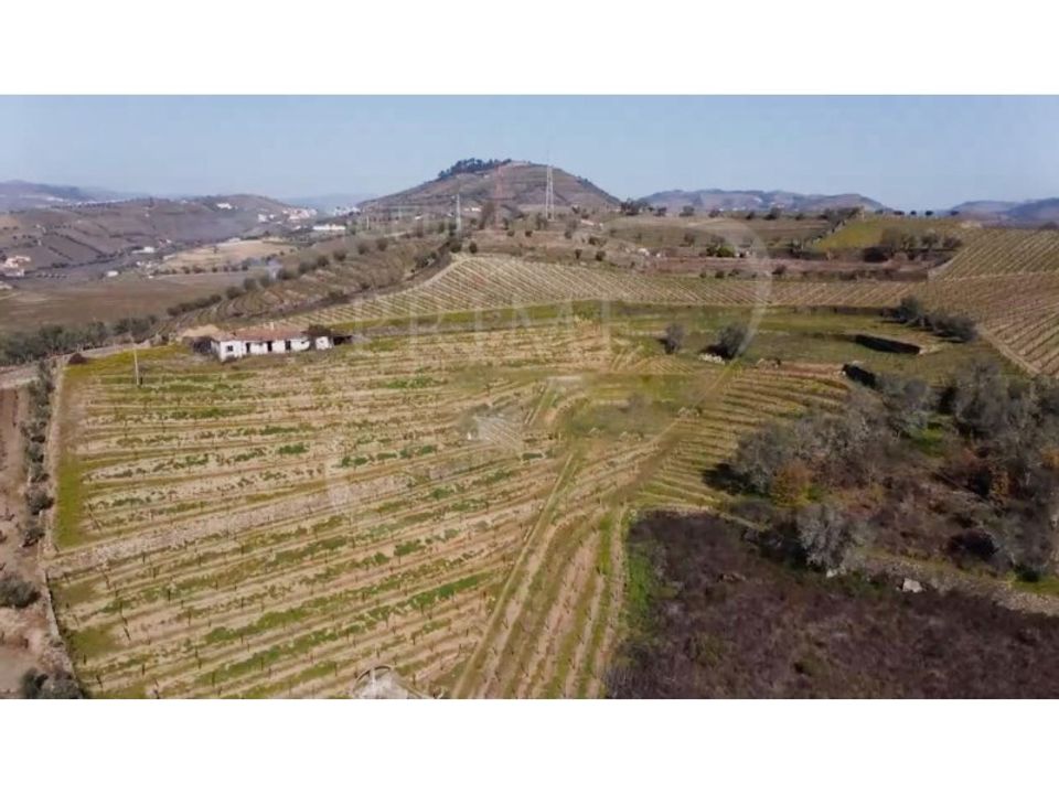 Helårsgrund i Peso da Regua, Vila Real - foto 3