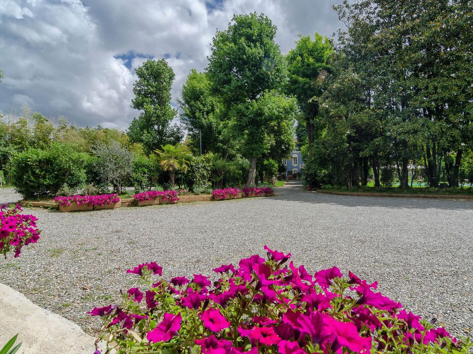 Erhvervsejendom i Lucca, Lucca - foto 5