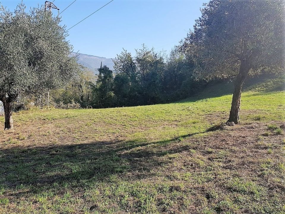 Erhvervsejendom i Viareggio, Lucca - foto 2