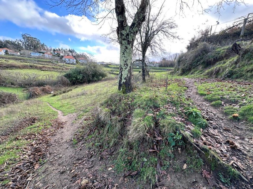 Helårsgrund i Paredes de Coura, Viana do Castelo - foto 4