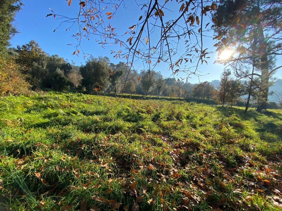 Landejendom i Fontoura, Viana do Castelo - foto 5