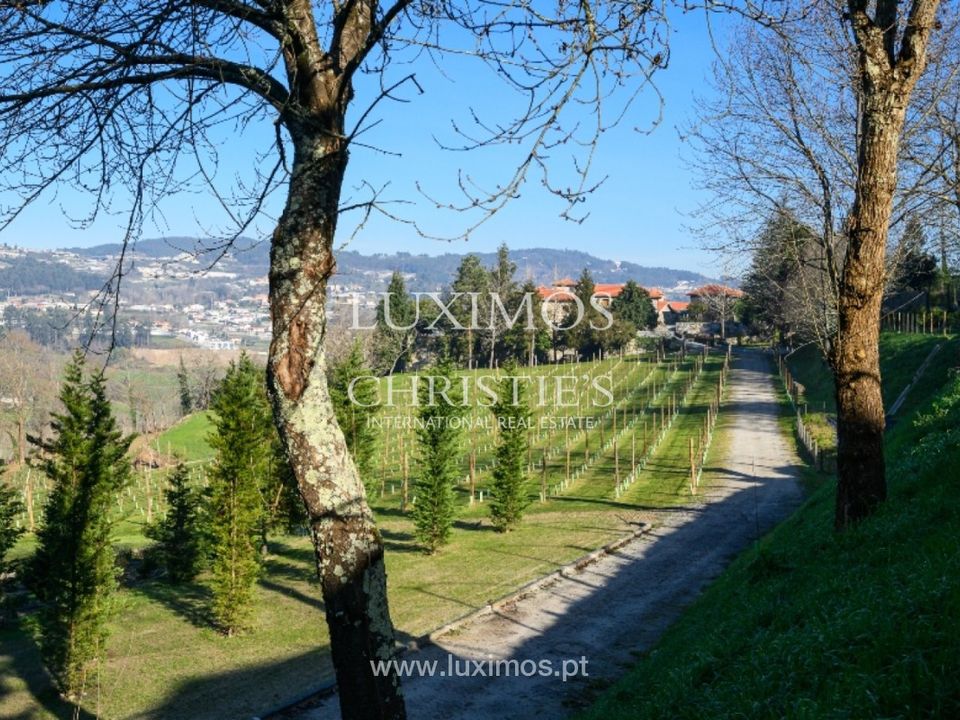 Farm i Felgueiras, Porto - foto 4