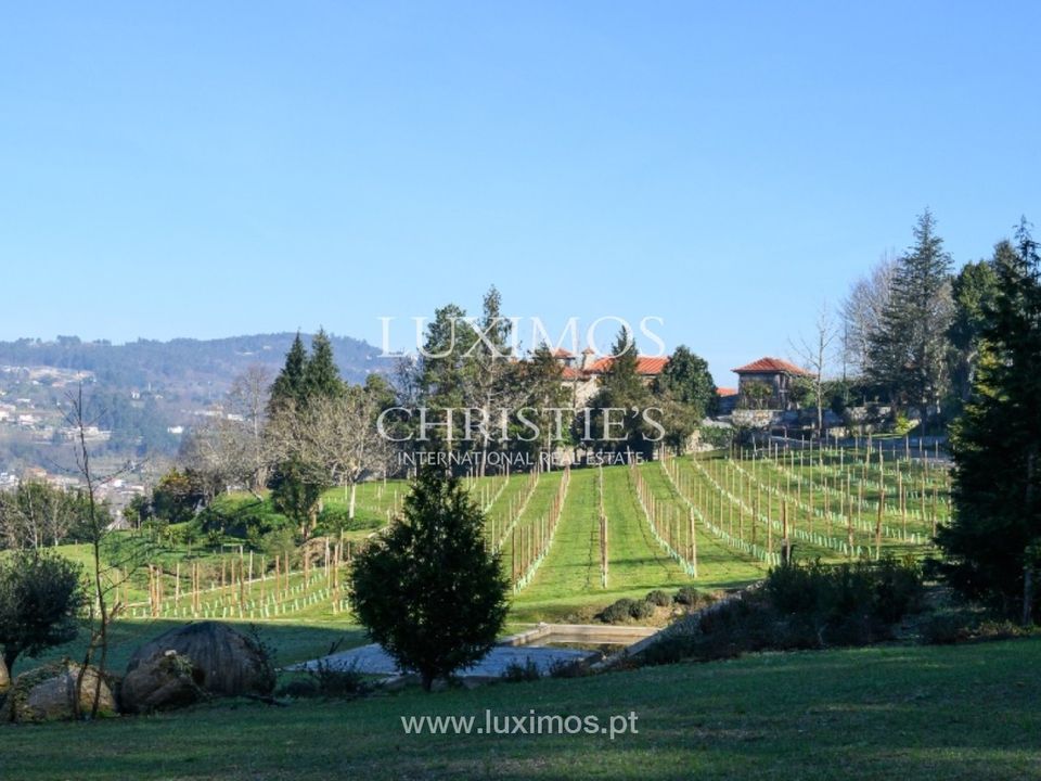 Farm i Felgueiras, Porto - foto 5