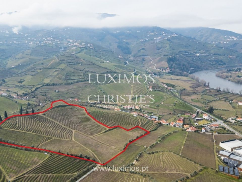 Farm i Lamego, Viseu - foto 1