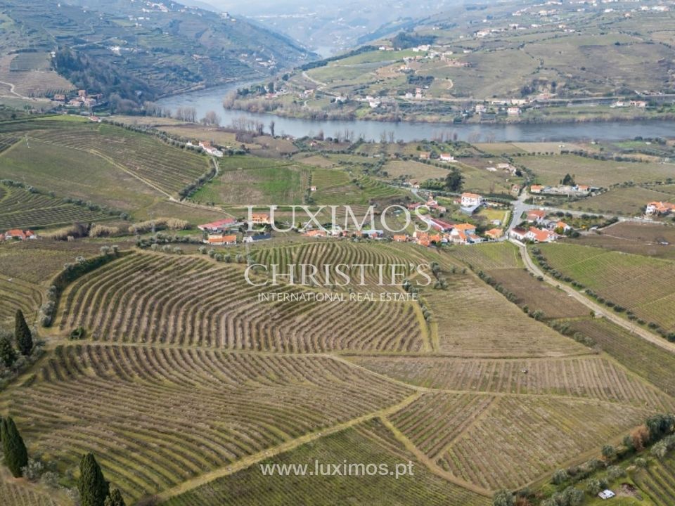Farm i Lamego, Viseu - foto 2